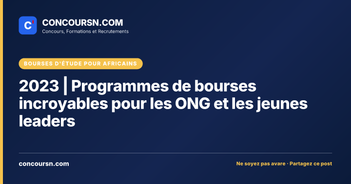 Illustration de l’article : 2023 | Programmes de bourses incroyables pour les ONG et les jeunes leaders