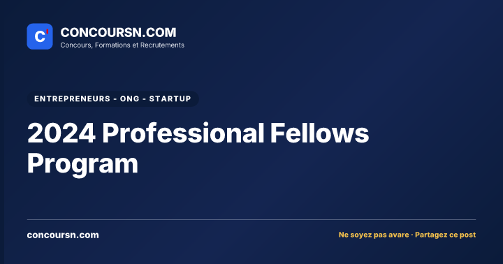Illustration de l’article : 2024 Professional Fellows Program