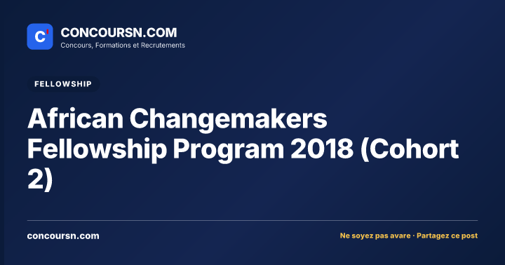 African Changemakers Fellowship Program 2018 (Cohort 2)
