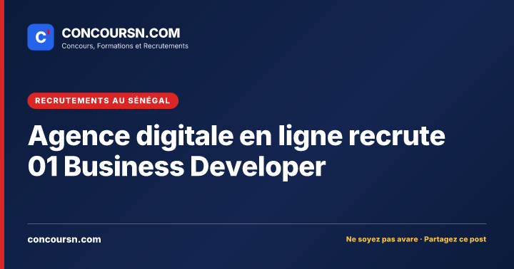 Illustration de l’article : Agence digitale en ligne recrute 01 Business Developer