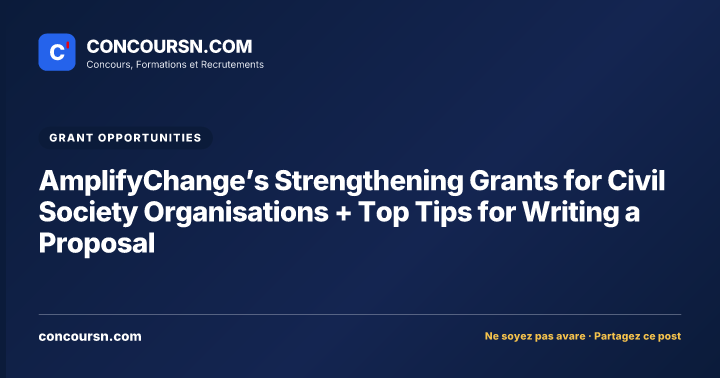 Illustration de l’article : AmplifyChange’s Strengthening Grants for Civil Society Organisations + Top Tips for Writing a Proposal