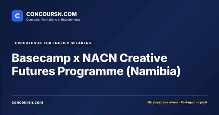 Illustration de l’article : Basecamp x NACN Creative Futures Programme (Namibia)