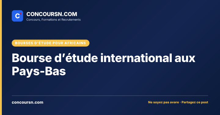 Illustration de l’article : Bourse d’étude international aux Pays-Bas