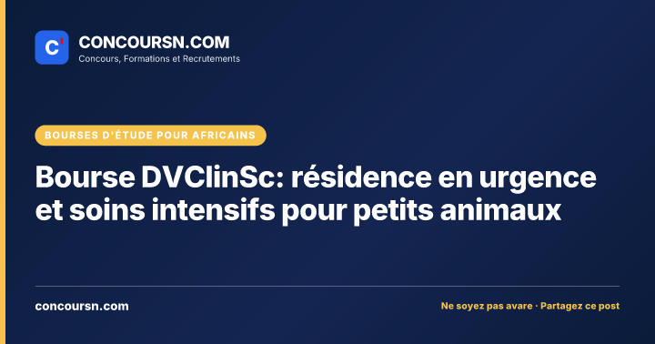 Illustration de l’article : Bourse DVClinSc: résidence en urgence et soins intensifs pour petits animaux