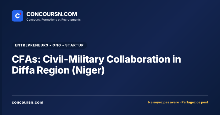 Illustration de l’article : CFAs: Civil-Military Collaboration in Diffa Region (Niger)