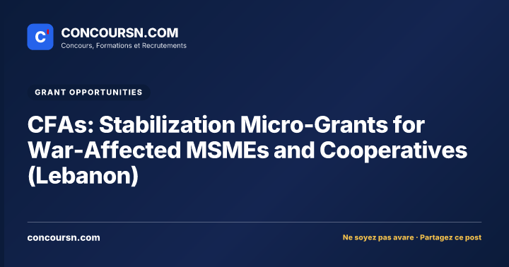 Illustration de l’article : CFAs: Stabilization Micro-Grants for War-Affected MSMEs and Cooperatives (Lebanon)