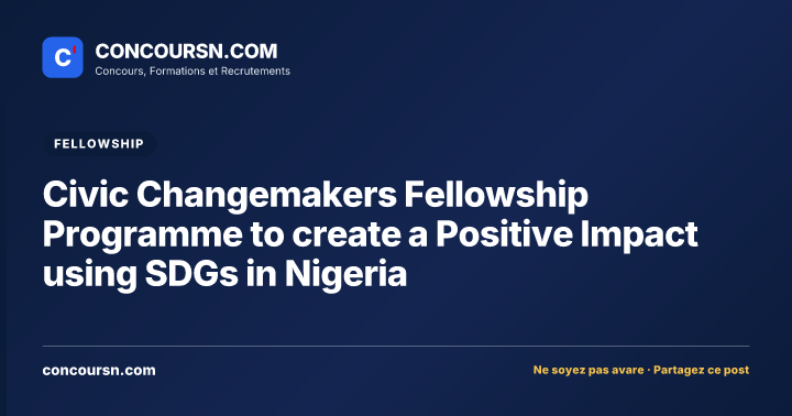 Illustration de l’article : Civic Changemakers Fellowship Programme to create a Positive Impact using SDGs in Nigeria