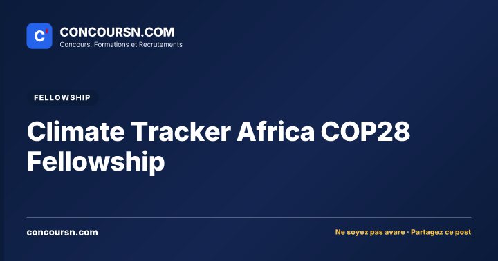 Illustration de l’article : Climate Tracker Africa COP28 Fellowship