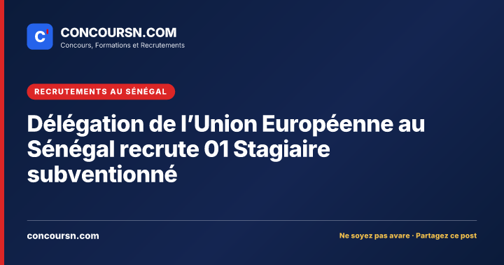 Illustration de l’article : Délégation de l’Union Européenne au Sénégal recrute 01 Stagiaire subventionné