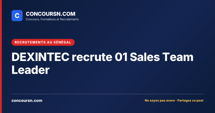 Illustration de l’article : DEXINTEC recrute 01 Sales Team Leader