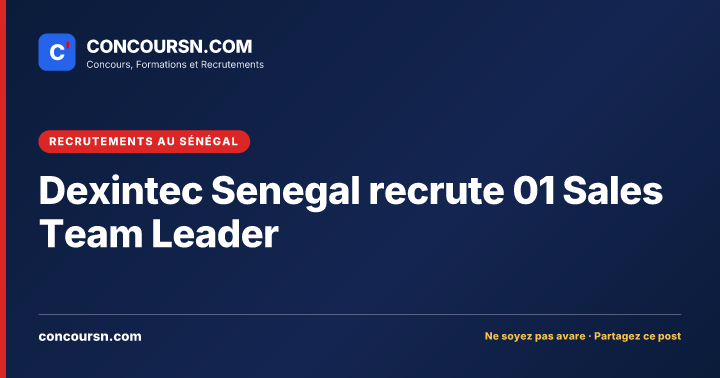 Illustration de l’article : Dexintec Senegal recrute 01 Sales Team Leader