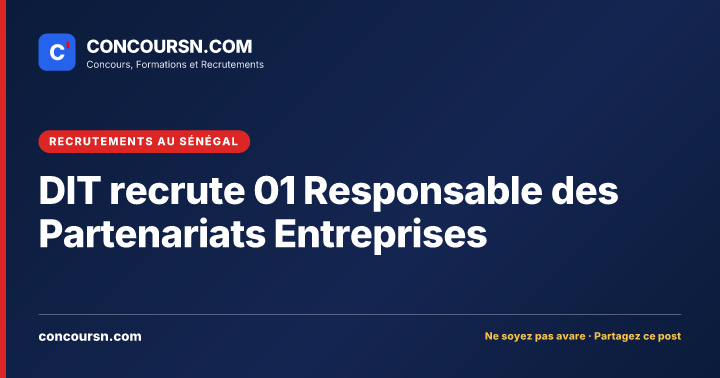 Illustration de l’article : DIT recrute 01 Responsable des Partenariats Entreprises