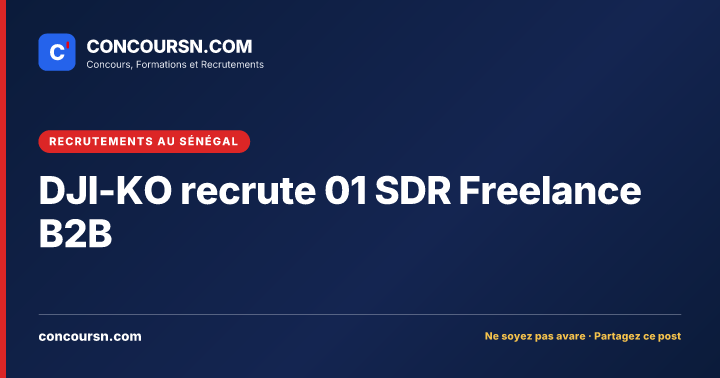 Illustration de l’article : DJI-KO recrute 01 SDR Freelance B2B
