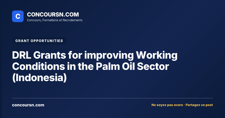 Illustration de l’article : DRL Grants for improving Working Conditions in the Palm Oil Sector (Indonesia)