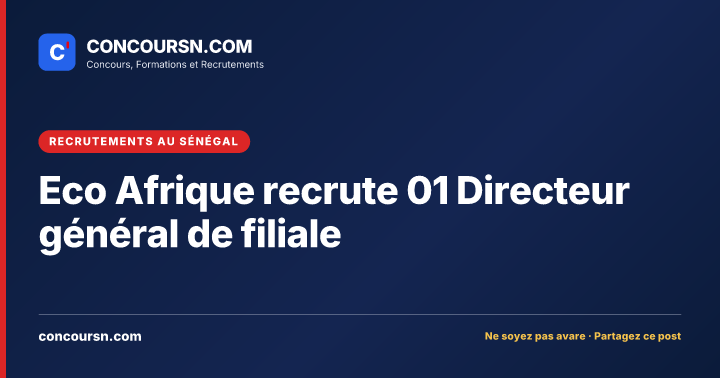 Illustration de l’article : Eco Afrique recrute 01 Directeur général de filiale