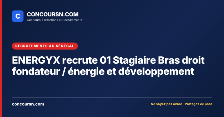 Illustration de l’article : ENERGYX recrute 01 Stagiaire Bras droit fondateur / énergie et développement