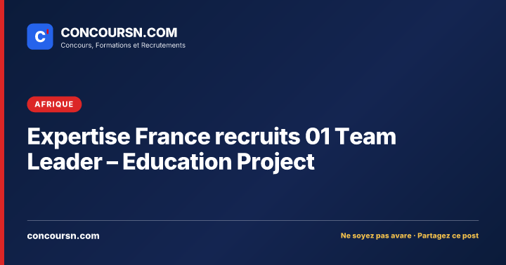 Expertise France recruits 01 Team Leader – Education Project