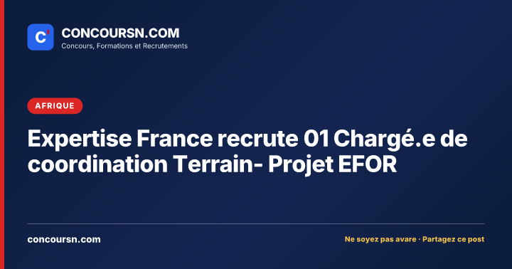 Illustration de l’article : Expertise France recrute 01 Chargé.e de coordination Terrain- Projet EFOR