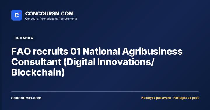 Illustration de l’article : FAO recruits 01 National Agribusiness Consultant (Digital Innovations/Blockchain)