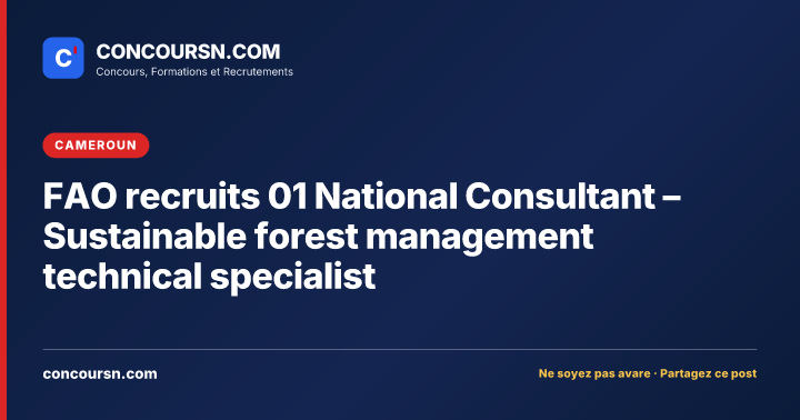 Illustration de l’article : FAO recruits 01 National Consultant – Sustainable forest management technical specialist