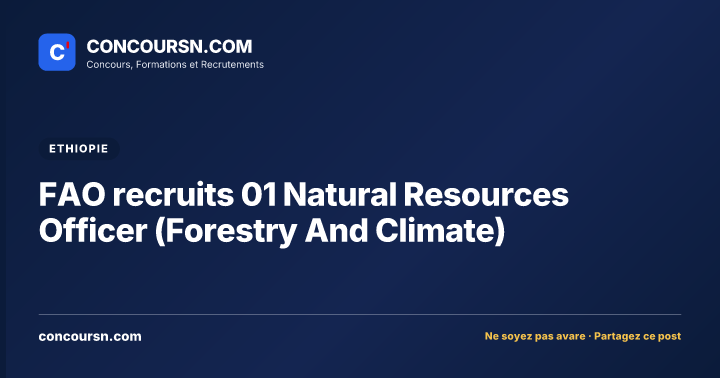 Illustration de l’article : FAO recruits 01 Natural Resources Officer (Forestry And Climate)