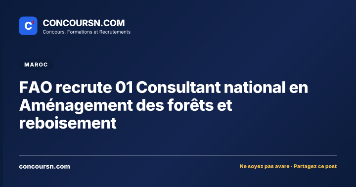 Illustration de l’article : FAO recrute 01 Consultant national en Aménagement des forêts et reboisement