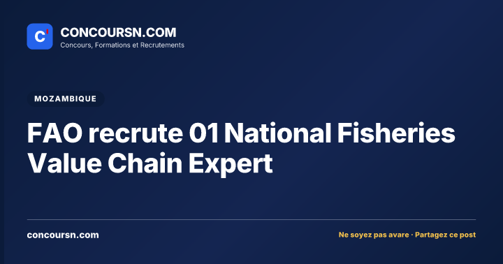 Illustration de l’article : FAO recrute 01 National Fisheries Value Chain Expert