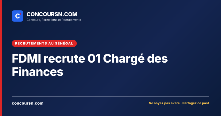 Illustration de l’article : FDMI recrute 01 Chargé des Finances
