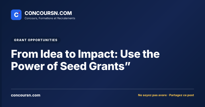 Illustration de l’article : From Idea to Impact: Use the Power of Seed Grants”