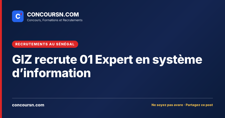 Illustration de l’article : GIZ recrute 01 Expert en système d’information