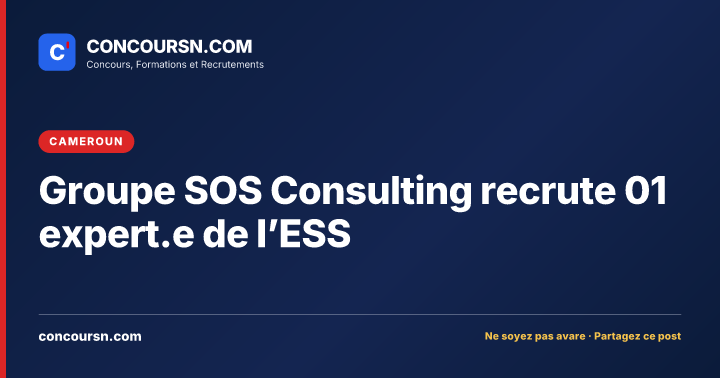 Groupe SOS Consulting recrute 01 expert.e de l’ESS