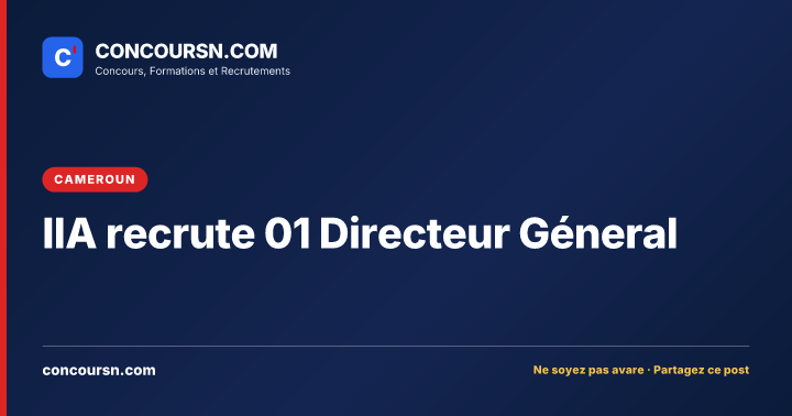 Illustration de l’article : IIA recrute 01 Directeur Géneral