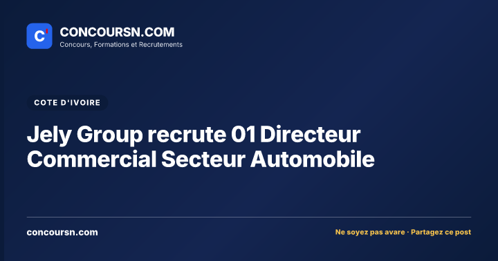 Jely Group recrute 01 Directeur Commercial Secteur Automobile