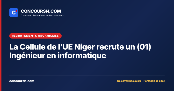 Illustration de l’article : La Cellule de l’UE Niger recrute un (01) Ingénieur en informatique