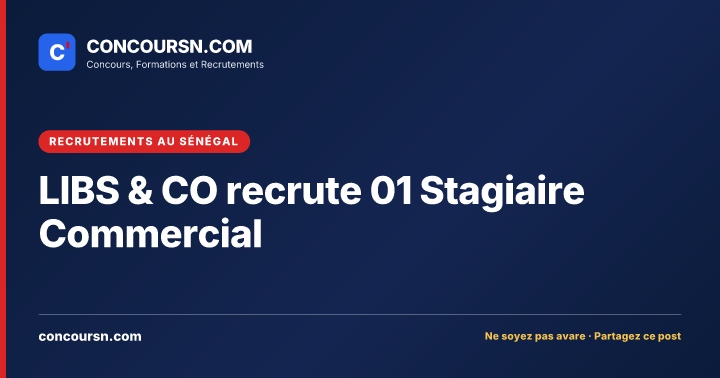 Illustration de l’article : LIBS & CO recrute 01 Stagiaire Commercial
