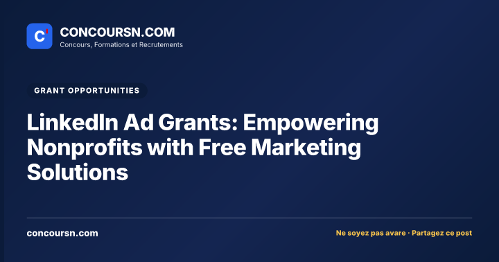 Illustration de l’article : LinkedIn Ad Grants: Empowering Nonprofits with Free Marketing Solutions