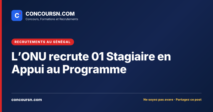 Illustration de l’article : L’ONU recrute 01 Stagiaire en Appui au Programme