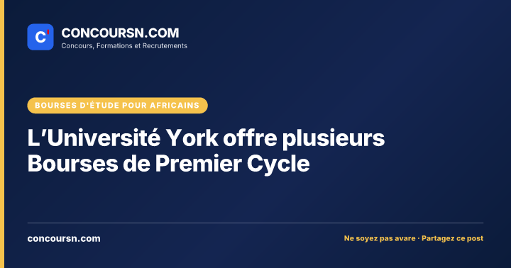 Illustration de l’article : L’Université York offre plusieurs Bourses de Premier Cycle