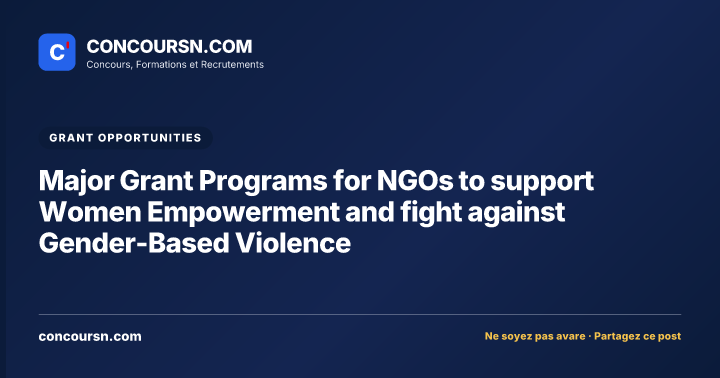 Illustration de l’article : Major Grant Programs for NGOs to support Women Empowerment and fight against Gender-Based Violence