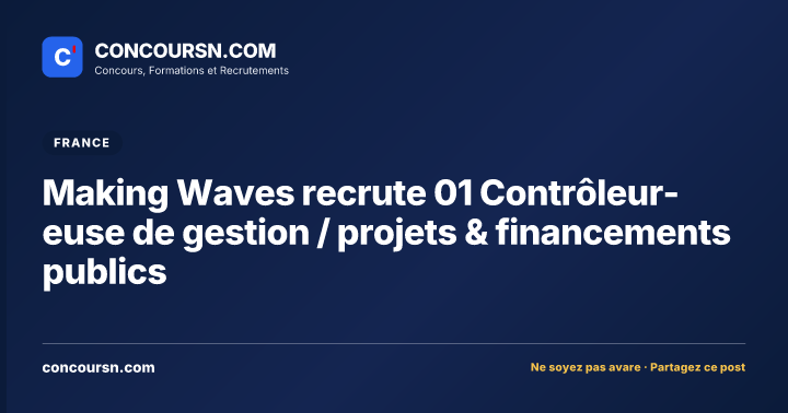 Illustration de l’article : Making Waves recrute 01 Contrôleur-euse de gestion / projets & financements publics