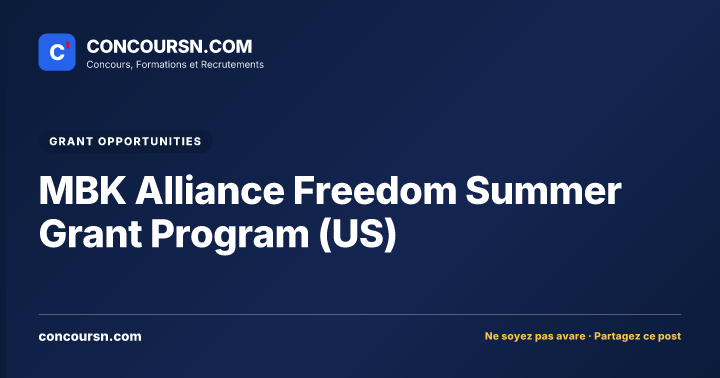 Illustration de l’article : MBK Alliance Freedom Summer Grant Program (US)