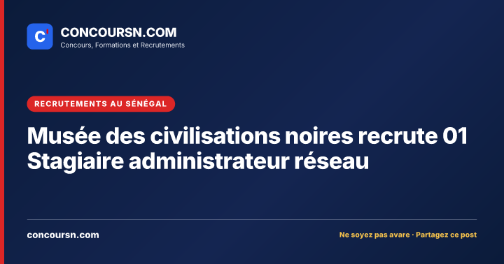 Illustration de l’article : Musée des civilisations noires recrute 01 Stagiaire administrateur réseau