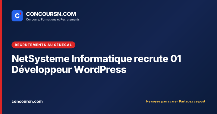 Illustration de l’article : NetSysteme Informatique recrute 01 Développeur WordPress