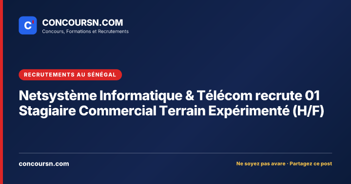 Illustration de l’article : Netsystème Informatique & Télécom recrute 01 Stagiaire Commercial Terrain Expérimenté (H/F)