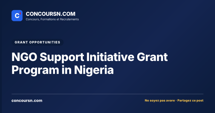 Illustration de l’article : NGO Support Initiative Grant Program in Nigeria