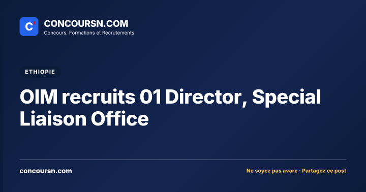 Illustration de l’article : OIM recruits 01 Director, Special Liaison Office