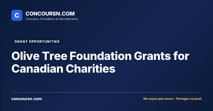 Illustration de l’article : Olive Tree Foundation Grants for Canadian Charities