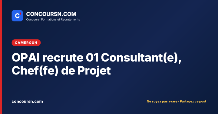 Illustration de l’article : OPAI recrute 01 Consultant(e), Chef(fe) de Projet
