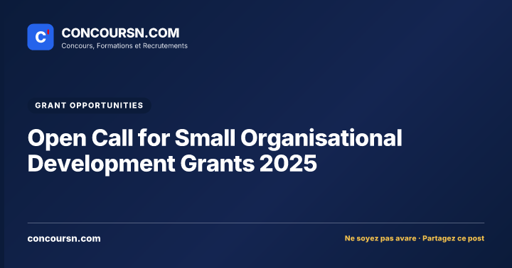 Open Call for Small Organisational Development Grants 2025