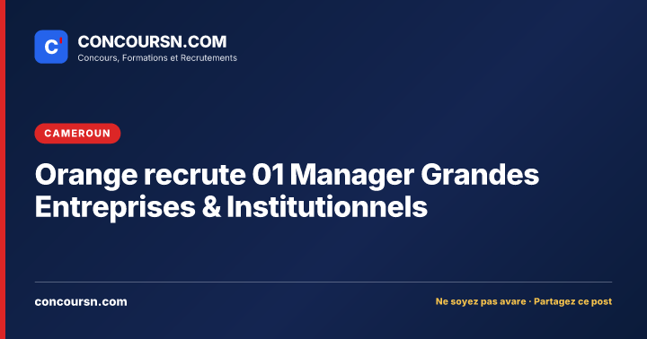 Orange recrute 01 Manager Grandes Entreprises & Institutionnels